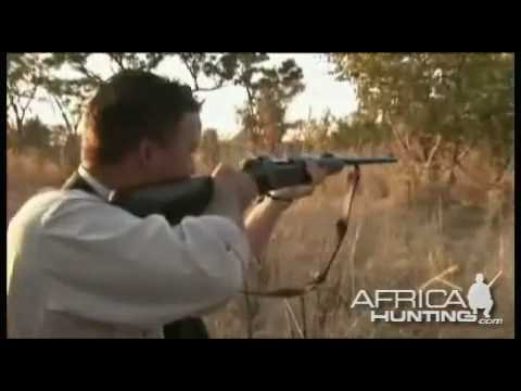 ZIMBABWE lovecké video