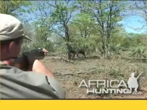lov BUVOLA III
