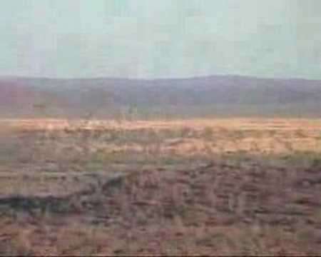 NAMIBIA HUNTING