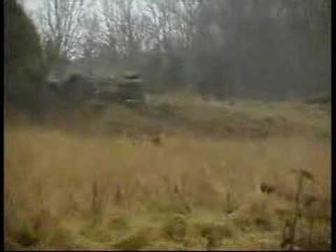 nátlačka – prasata