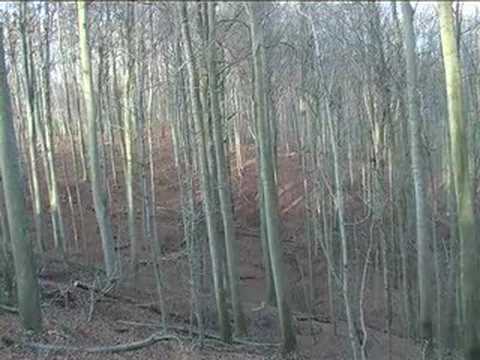 lov divočáků II