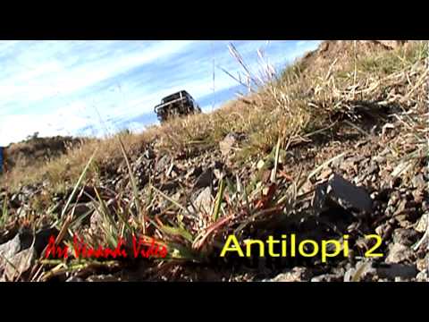 Lov antilop v Africe