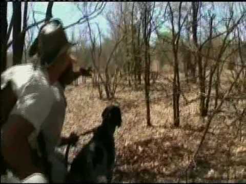 Namibia hunting