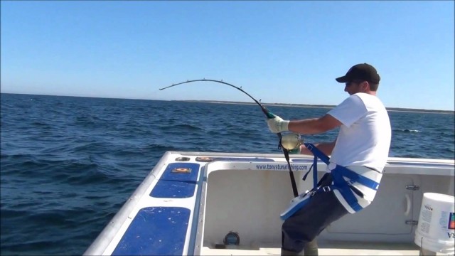 JIGNPOP: 1,000lb Giant with 450g Black Hole Cape Cod Special Standard Rod in PEI