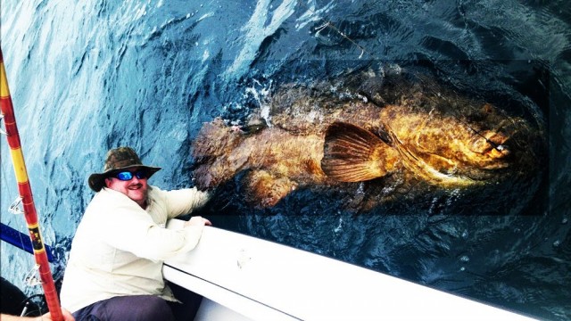 Big Man catches Bigger Fish!