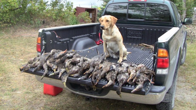 Den otevřených dveří Duck Hunting 2012