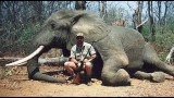 Lov slona v Africe