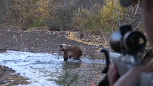 Lov medvěda v Rusku