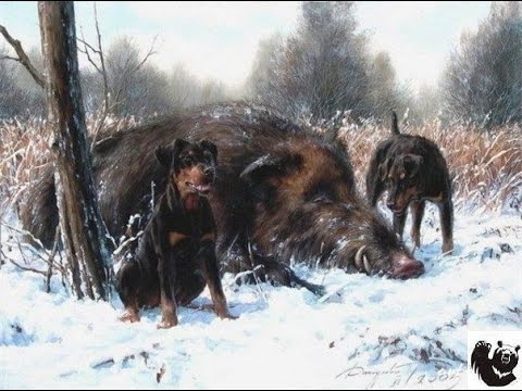Lov prasete v Rusku