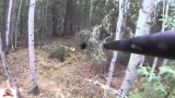 Lov medvěda z výšky